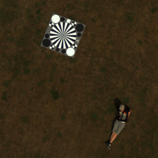 Example Image